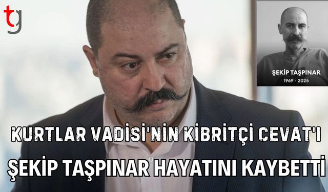 Kurtlar Vadisi'nİn Kibritçi Cevat'ı Şekip Taşpınar Hayatını Kaybetti