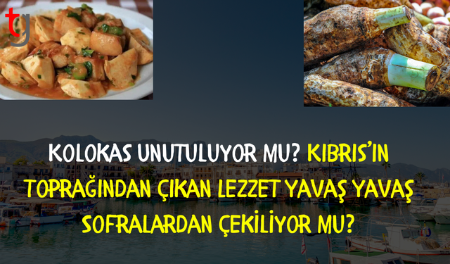 Kıbrıs'ın En Değerli Lezzetlerinden Kolokas