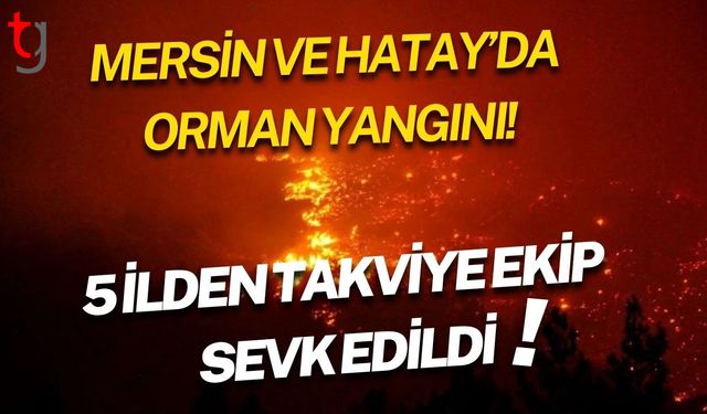 Mersin ve Hatay’da  Orman Yangını! 5 İlden Takviye Ekip Sevk Edildi!