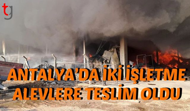 Antalya’da İki İşletme Alevlere Teslim Oldu