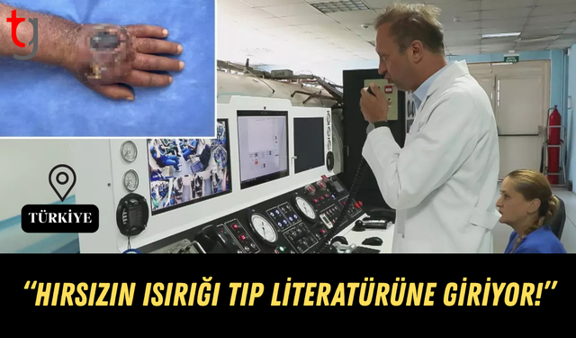 Hırsızın Isırığı Literatüre Giriyor