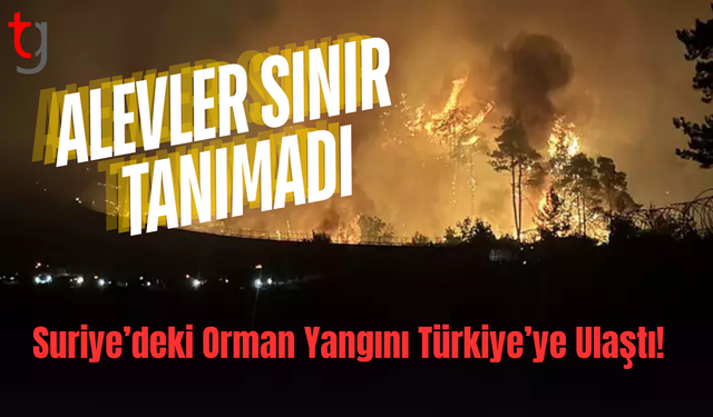 Suriye’deki Orman Yangını Türkiye’ye Ulaştı!