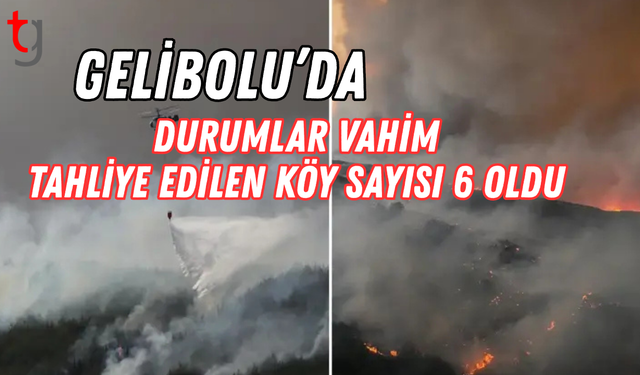 Çanakkale yanıyor! Tarihi Alan kapatıldı
