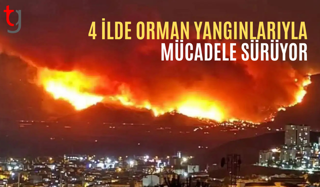 4 ilde orman yangını: Tahliyeler sürüyor