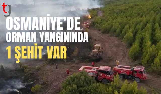 Osmaniye'de yangına müdahale eden arazöz devrildi