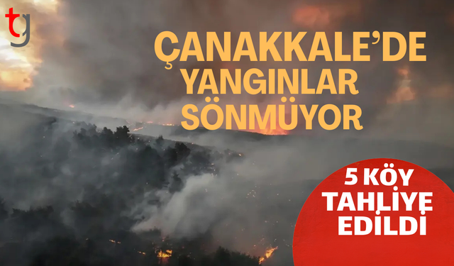Alevler Gelibolu'dan Eceabat'a sıçradı, 5 köy tahliye edildi