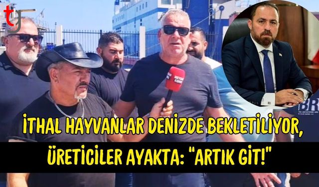 İthal Hayvanlar Denizde Bekletiliyor, Üreticiler Ayakta: “Artık Git!”