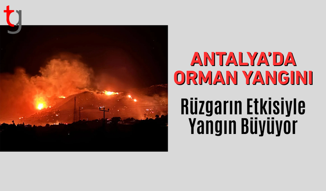 Antalya'da orman yangını: Rüzgar etkisini artırdı