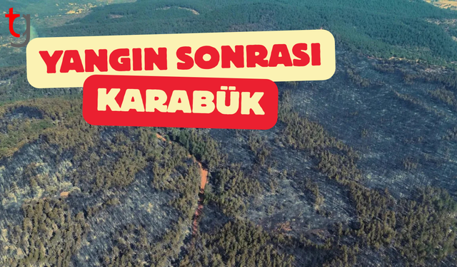 Karabük yangınından geriye acı tablo kaldı