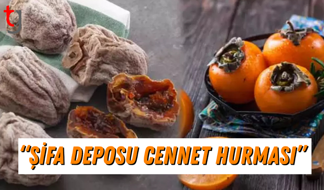 CENNET HURMASININ ŞAŞIRTAN FAYDALARI