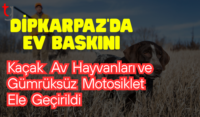 Dipkarpaz’da Kaçak Av ve Gümrüksüz Motosiklet Operasyonu
