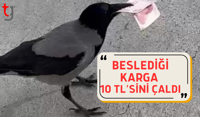 Hatay'da mizah amaçlı video çekmek isterken 10 TL'sini kargaya kaptırdı