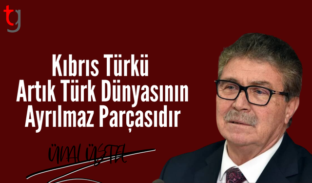 Üstel: Türk Dünyasının Dayanışması Zirvede En Güçlü Şekilde Görüldü