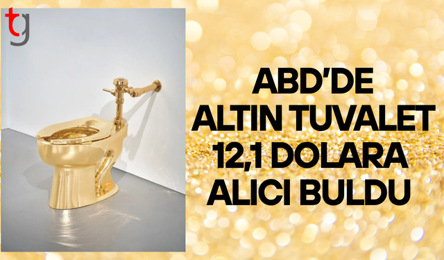 ABD'de 18 ayar altın tuvalet 12,1 milyon dolara alıcı buldu