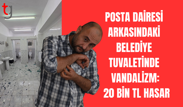 Lefkoşa’da kamu malına zarar veren kişi tutuklandı