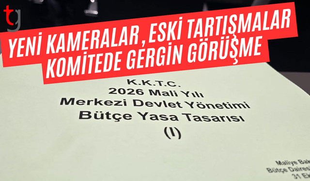 Komitede Bayındırlık ve Ulaştırma Bakanlığı bütçesi görüşülüyor