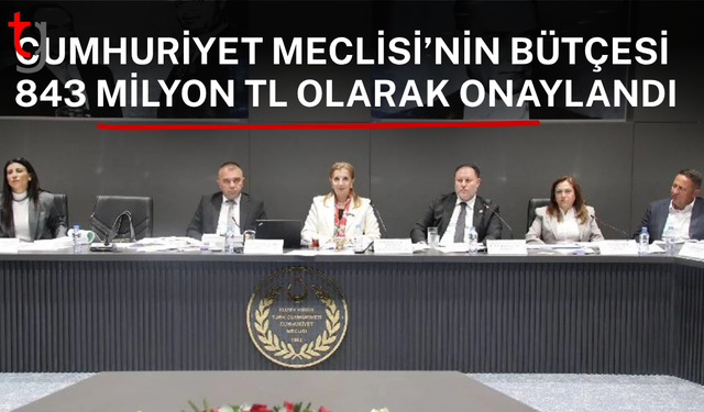 MECLİS BÜTÇESİNDE 599 MİLYON TL’LİK ŞOK KESİNTİ