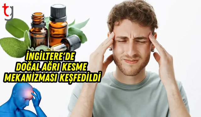 İngiltere'de doğal ağrı kesme mekanizması keşfedildi