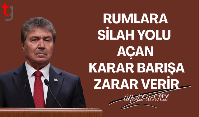 Ünal Üstel’den Norveç’e Sert Tepki: Rumlara Silah Kararı Kabul Edilemez