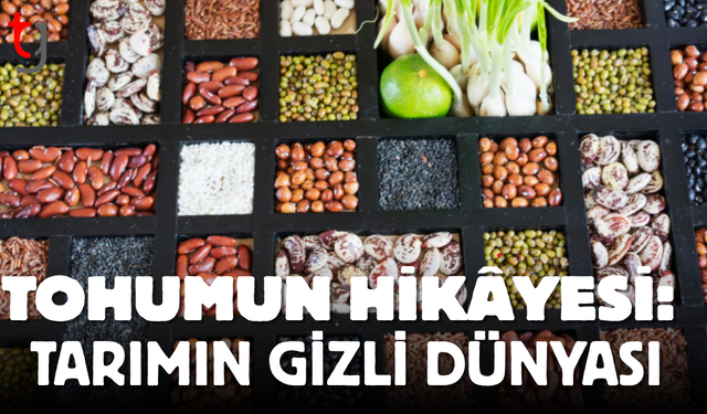 Tohumun Hikâyesi: Tarımın Gizli Dünyası