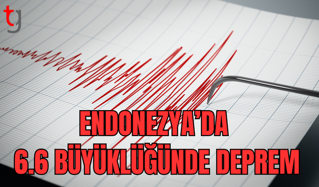 Endonezya'da 6,6 büyüklüğünde deprem oldu