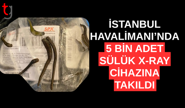 İstanbul Havalimanı'nda yurda sokulmaya çalışılan 5 bin adet sülük x-ray cihazına takıldı