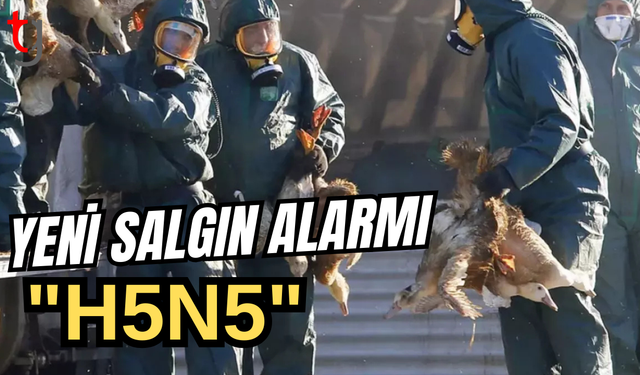 "H5N5" kuş gribinin bulaştığı ilk insan öldü