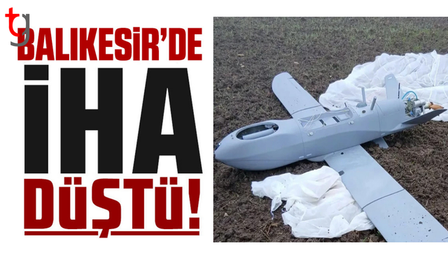 İnceleme için Ankara’ya gönderildi