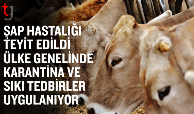 Şap hastalığı teyit edildi;Sıkı tedbirler devrede