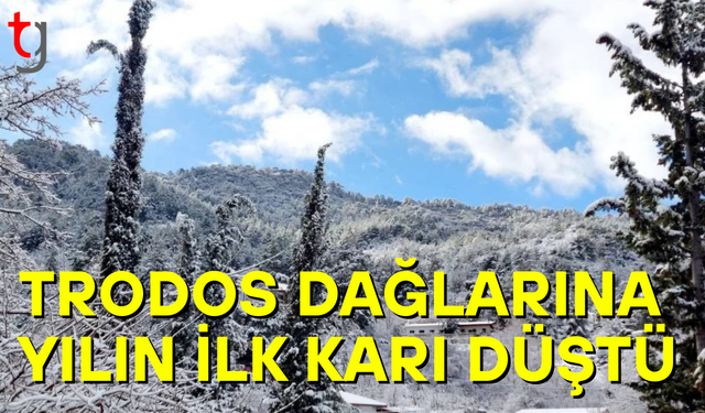 Trodos'lara yılın ilk karı düştü
