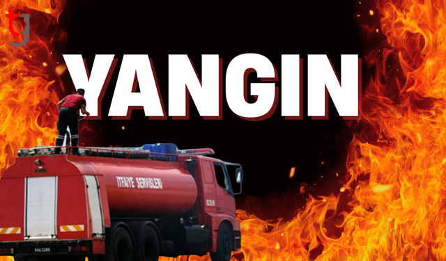 İki farklı noktada yangın çıktı