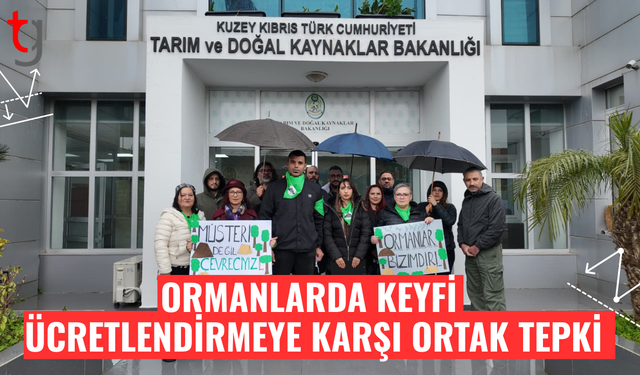 Ormanlarda keyfi ücretlendirmeye karşı ortak çağrı