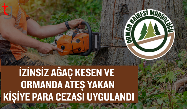 Çatalköy’de izinsiz ağaç kesimine ceza