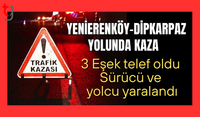 Yenierenköy-Dipkarpaz yolunda hür eşek kazası