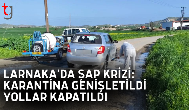 Güneyde şap alarmı: Larnaka karantina altında