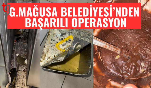 Tatal kapatıldı, Ensar, İlarma ve Özdemir ekmek fırınlarına ceza yağdı