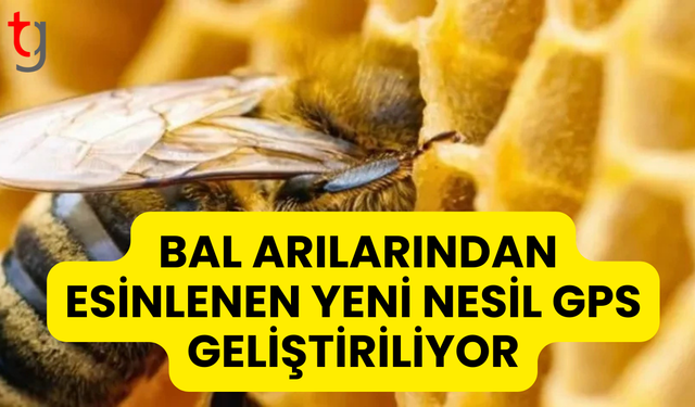 Bal Arılarından Esinlenen Yeni Nesil GPS Geliştiriliyor