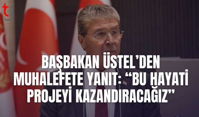 Üstel: Dijital dönüşüm için Türkiye ile iş birliği sürecek
