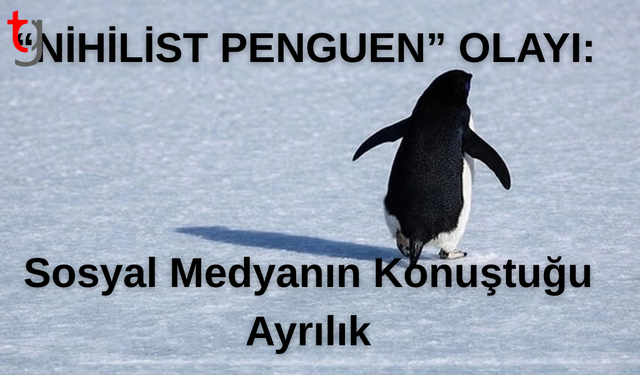 Sürüsünden ayrıldı, fenomen oldu: “Nihilist Penguen”