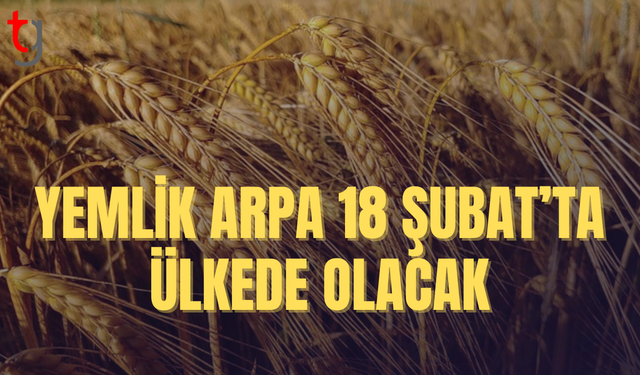 Tedarik sürecindeki aksamalar diderildi