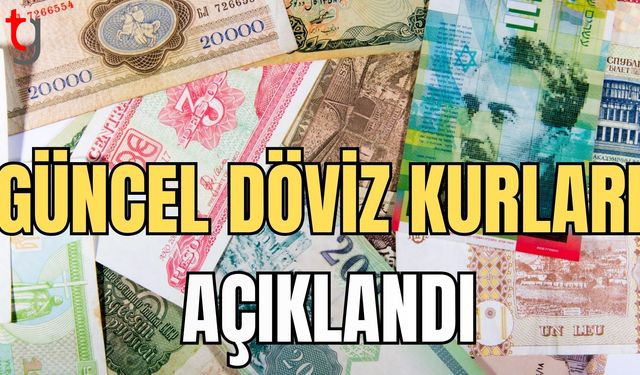 Güncel döviz kurları açıklandı