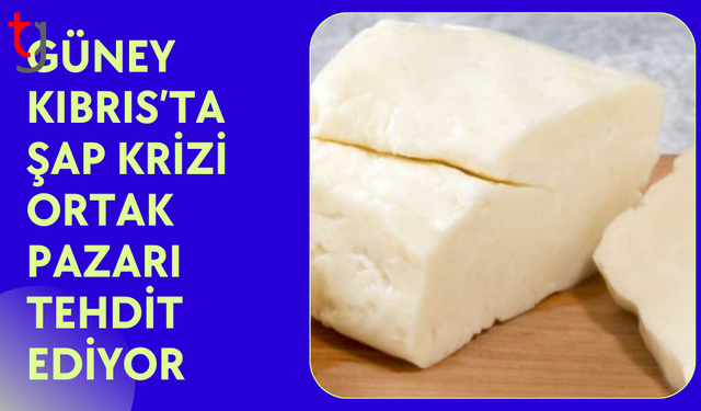 Güney Kıbrıs’ta şap alarmı: Hellim ihracatı riskte