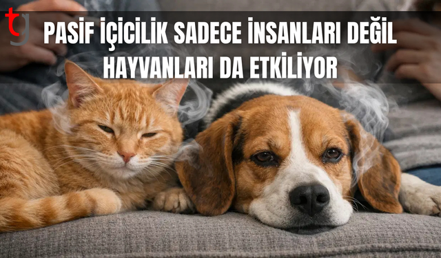 Araştırma ortaya koydu: Evde içilen sigara evcil hayvanları da zehirliyor