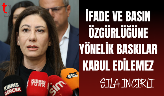 İfade özgürlüğüne yönelik baskılar endişe yaratıyor