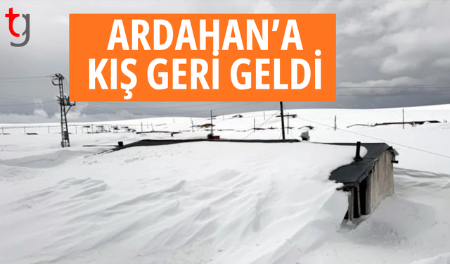 Ardahan’da yayla evleri kara gömüldü