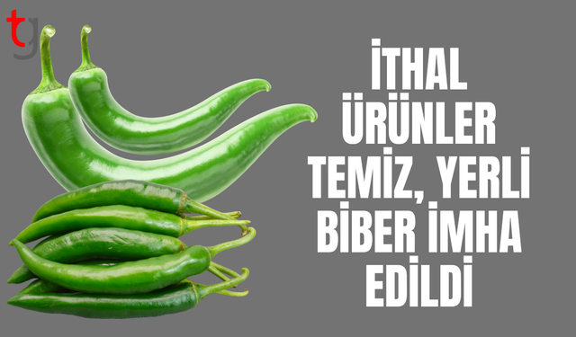 Haftalık gıda denetim sonuçları açıklandı