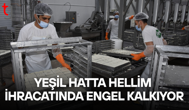 Yeşil hatta hellim ihracatında kritik engel aşılıyor