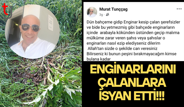 Enginar bahçesine giren hırsızlar üreticiyi mağdur etti
