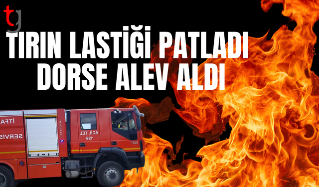 Tırın lastiği patladı, yangın çıktı