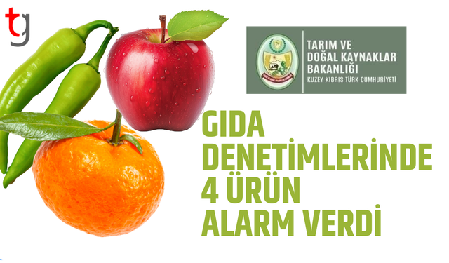 Gıda denetimlerinde 4 ürün alarm verdi
